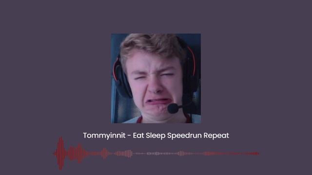 Tommyinnit - Eat Sleep Speedrun Repeat смотреть онлайн