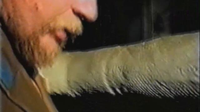 Шанхай что ли смотреть онлайн