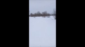 ⚠⚠обрыв фазы на лэп10 кв ⚠⚠