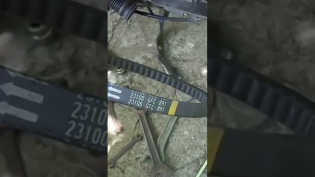 Какой размер ремня вариатора на скутере Honda Dio AF-62/68/61. смотреть онлайн
