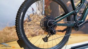 Specialized Levo SL Comp light e-MTB I Ist WENIGER MEHR ?