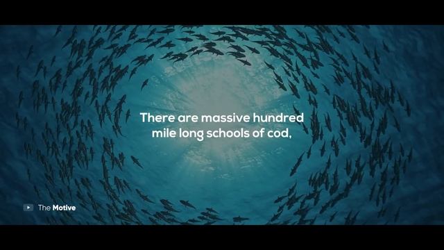 Jordan Peterson REVEALS The Psychology Behind Selling ANYTHING смотреть онлайн