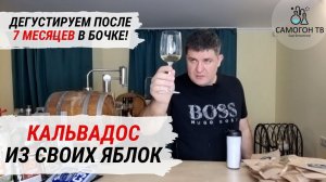 КАЛЬВАДОС из своих яблок.  Дегустируем после 7 месяцев в дубовой бочке!