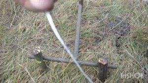 Как поймать голубя,фазана,перепелу простой ловушкой.