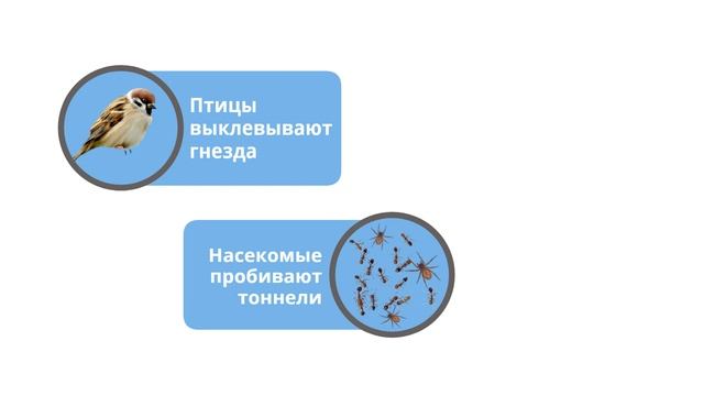 Утеплитель с защитой от мышей и насекомых! ППУ PEZONALIT смотреть онлайн