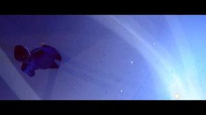 Александр Гум – Мы живые