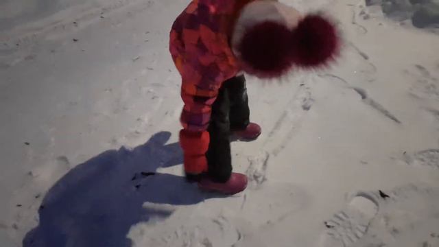 Прогулка 16.01.2019 в NORDMAN Cross, Лотошино