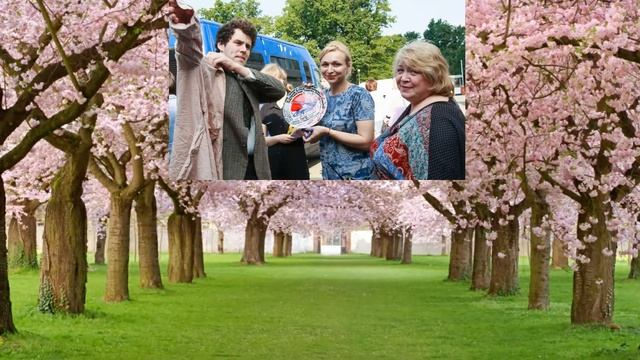 Журавль в небе, интересные факты, анонс, дата выхода смотреть онлайн