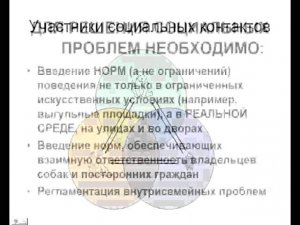 Как жить с собаками в городе? - концепция урегулирования "собачьего вопроса".