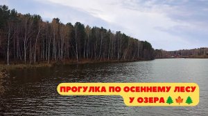 Прогулка по осеннему лесу  у озера