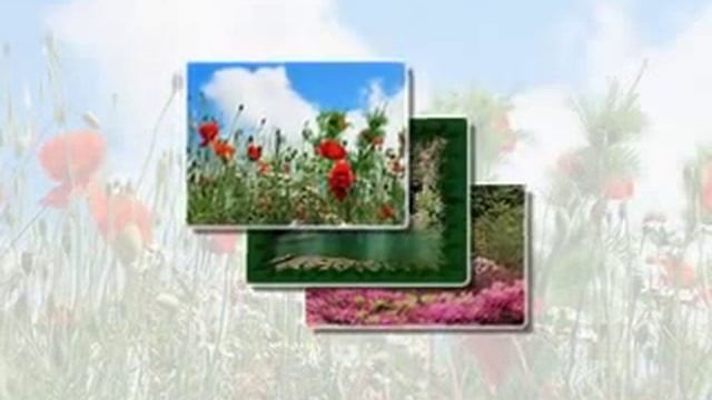 Презентация "ВЕСЕННЕЕ НАСТРОЕНИЕ" смотреть онлайн