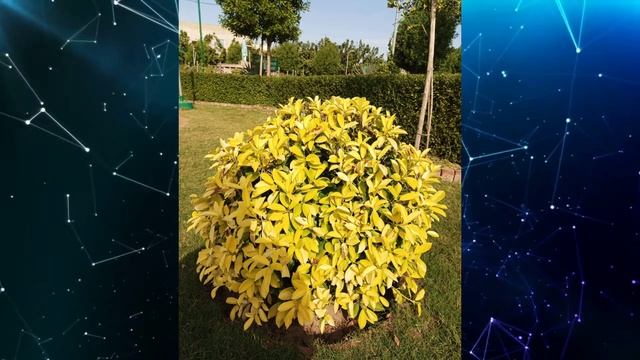 Redmi 11 Prime 5G Camera Review - Full Camera Test - Details ? смотреть онлайн