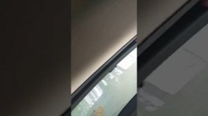 Снятие верхнего стоп сигнала Renault Megan III