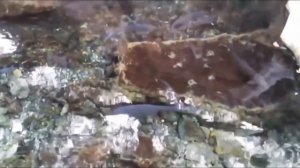 Хез Модар ки мусофир писарат омадааст