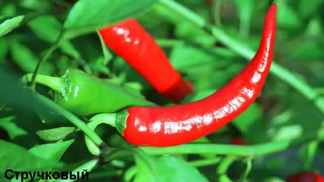 10 полезных продуктов питания