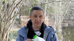 Очистка пруда бюджетно, часть 6. Вытесняем сине-зелёные водоросли биопрепаратом, Хлорелла