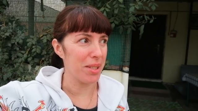 ЦЕНЫ РАСТУТ КАК НА ДРОЖЖАХ. ДЕРЕВО УБРАЛИ, ДЕРЕВО ПОСАДИЛИ. смотреть онлайн