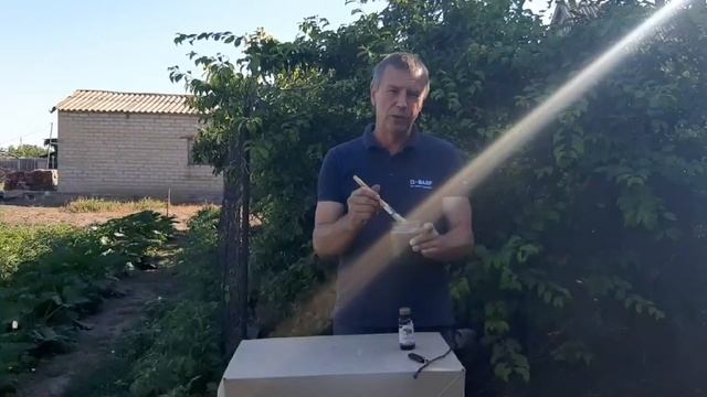 Колорадский жук, тля, медведка. Эффективные экологичные методы борьбы. смотреть онлайн