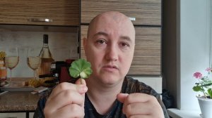 Про энергетику в углах и почему не растут комнатные цветы I Антон Артмид