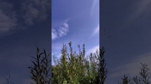 Гонка Героев, полигон Горностай, Владивосток, 17 августа 2024 г. Взвод 075, команда "КМС-27"