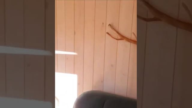 Исключительная Г-образная Дом-Баня от Fjord Sauna: Люкс-комфорт и Стиль