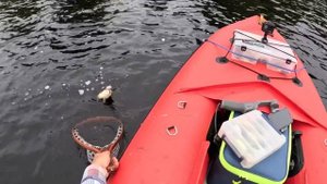 Сплав по реке на ФИШКАЯКЕ с электромотором! Голавль