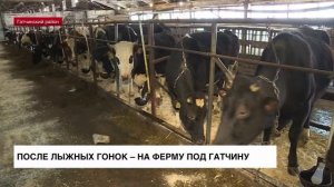 В Ленобласть вернулся победитель Единых игр специальной олимпиады, которая проходила в Казани