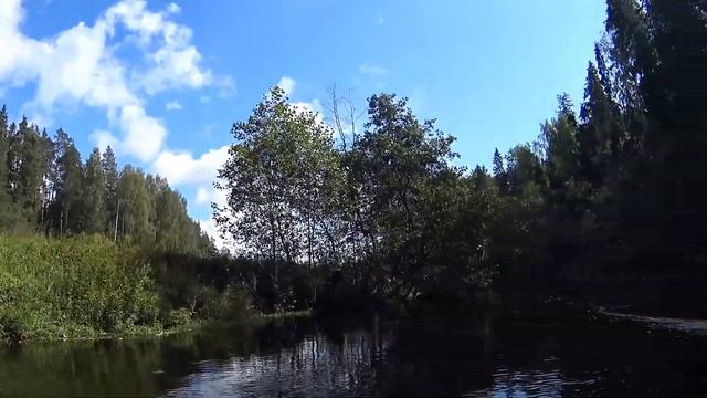 Шикарные виды природы реки Оредеж прямо с байдарки смотреть онлайн