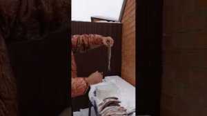 Подуст(Чернопуз)из реки Кубань