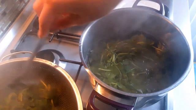 ПОРТУЛАК (Semizotu). Ну Очень Вкусный салат из огородной травы! Purslane recipes | Turkish food  馬齒