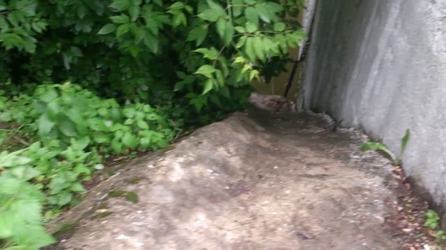 Птичка у Горбатого моста в Измайлово смотреть онлайн