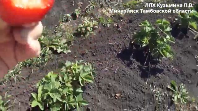 Сенсация 27 06 2022 г смотреть онлайн