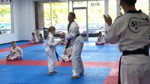 StormyTube - TKD Brown Belt Testing