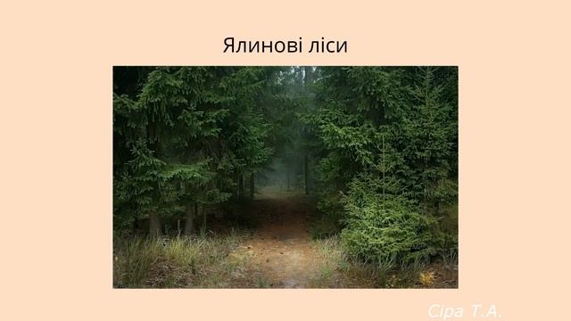 Із чого виробляють ПАПІР | НУШ Cіра Т.А. смотреть онлайн
