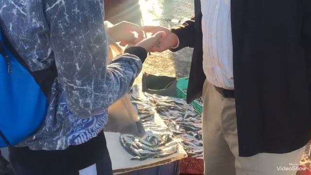 Марокко. Эс-Сувейра смотреть онлайн