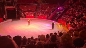 Брянск цирк