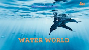 3 часа водного мира | Музыка, успокаивающая душу  4K Full HD