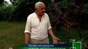"Медный всадник" Ю.Ильенко