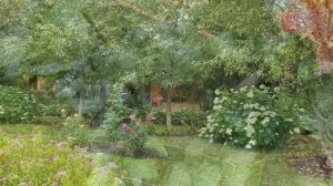 красивый сад в Подмосковье.  Июль 2020