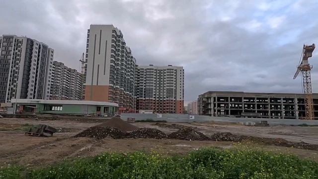 2.05.Ленина 235.Морская Горгиппия.