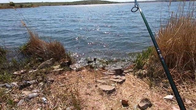 Самоизоляция На Рыбалке Карантин Соблюдаю Наедине с Природой