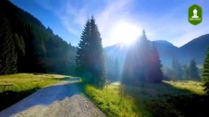 Почему нельзя обращаться к бабкам и колдунам. Какие последствия ожидают человека