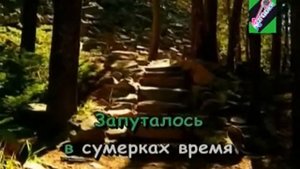 Караоке Перекати Поле Надежда Чепрага xvid