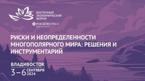 Риски и неопределенности многополярного мира: решения и инструментарий