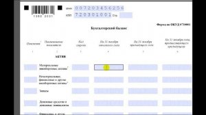 Проект 1 В 9 1 Заполняем бухгалтерскую отчетность