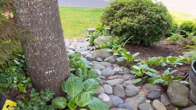 FULL FRONT YARD GARDEN TOUR-JUNE 2023
