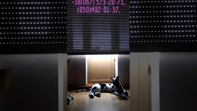 Рольставни с перфорацией-солнцезащитные жалюзи с обзорностью и естественн освещением+100%затемнение