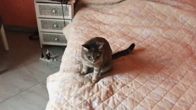 Как я снимаю видео в Инстаграм? смотреть онлайн