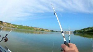 Сазан на донку. Река Обь.