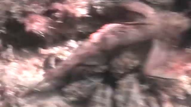 Адлер Чёрное море Съёмка - камера Panasonik SDR-SW20 смотреть онлайн